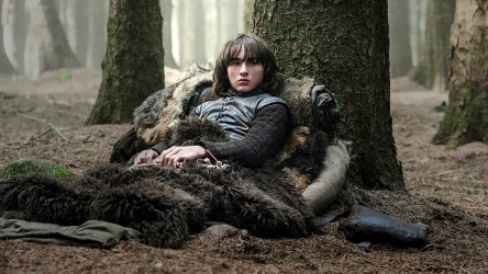 bran-stark