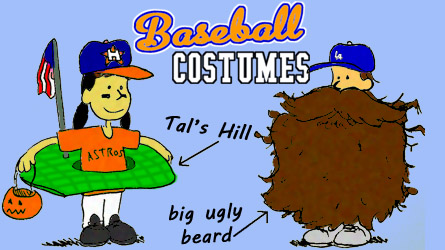 baseball halloween costume - Tal's Hill & beard